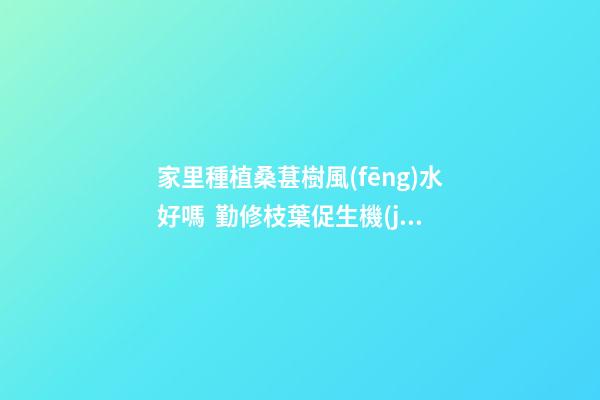 家里種植桑葚樹風(fēng)水好嗎  勤修枝葉促生機(jī)